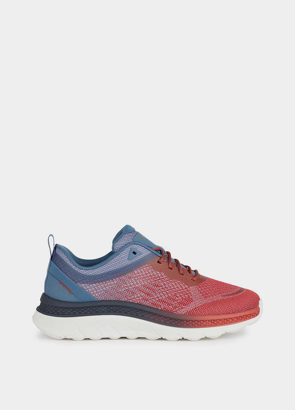 Цветные демисезонные кроссовки Geox