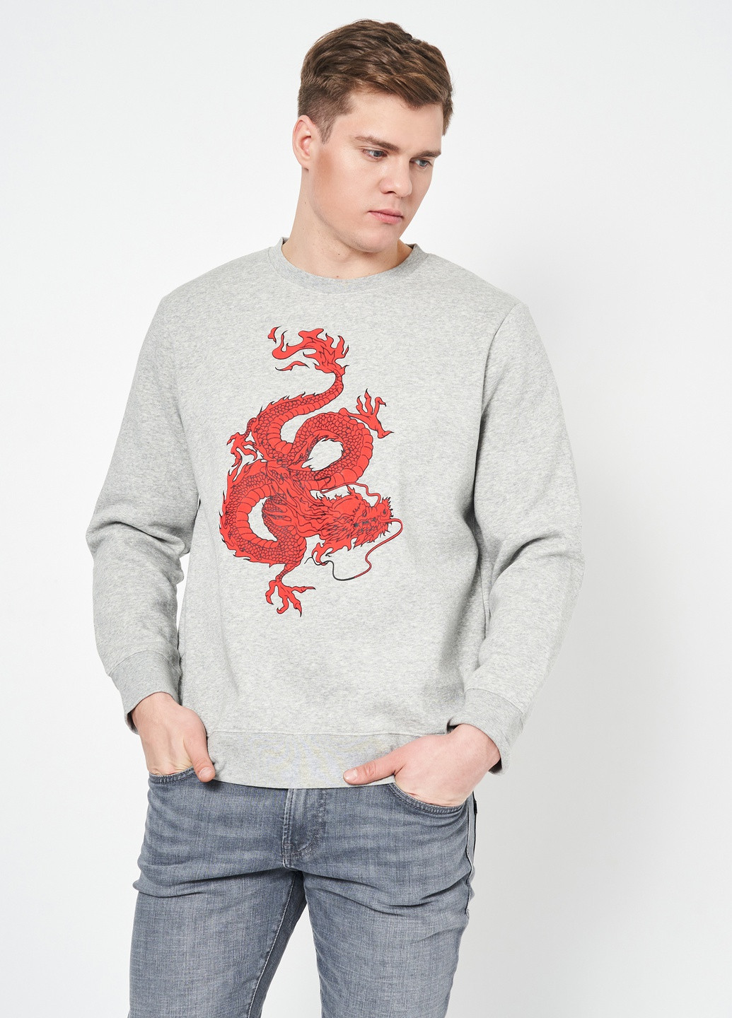 Свитшот H&M - крой дракон серый кэжуал хлопок - (252393022)