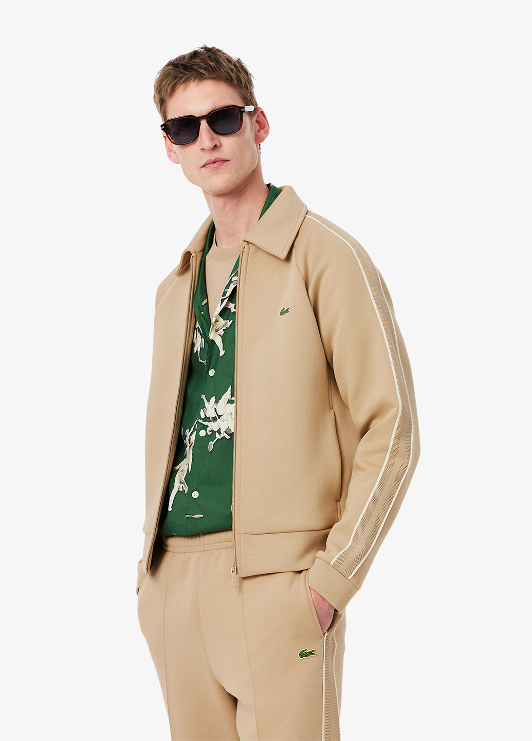 Толстовка Lacoste (363619939)