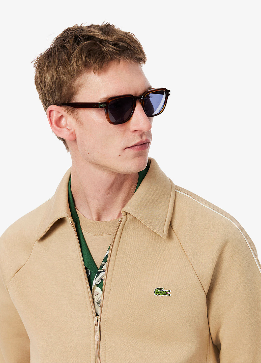Толстовка Lacoste (363619939)