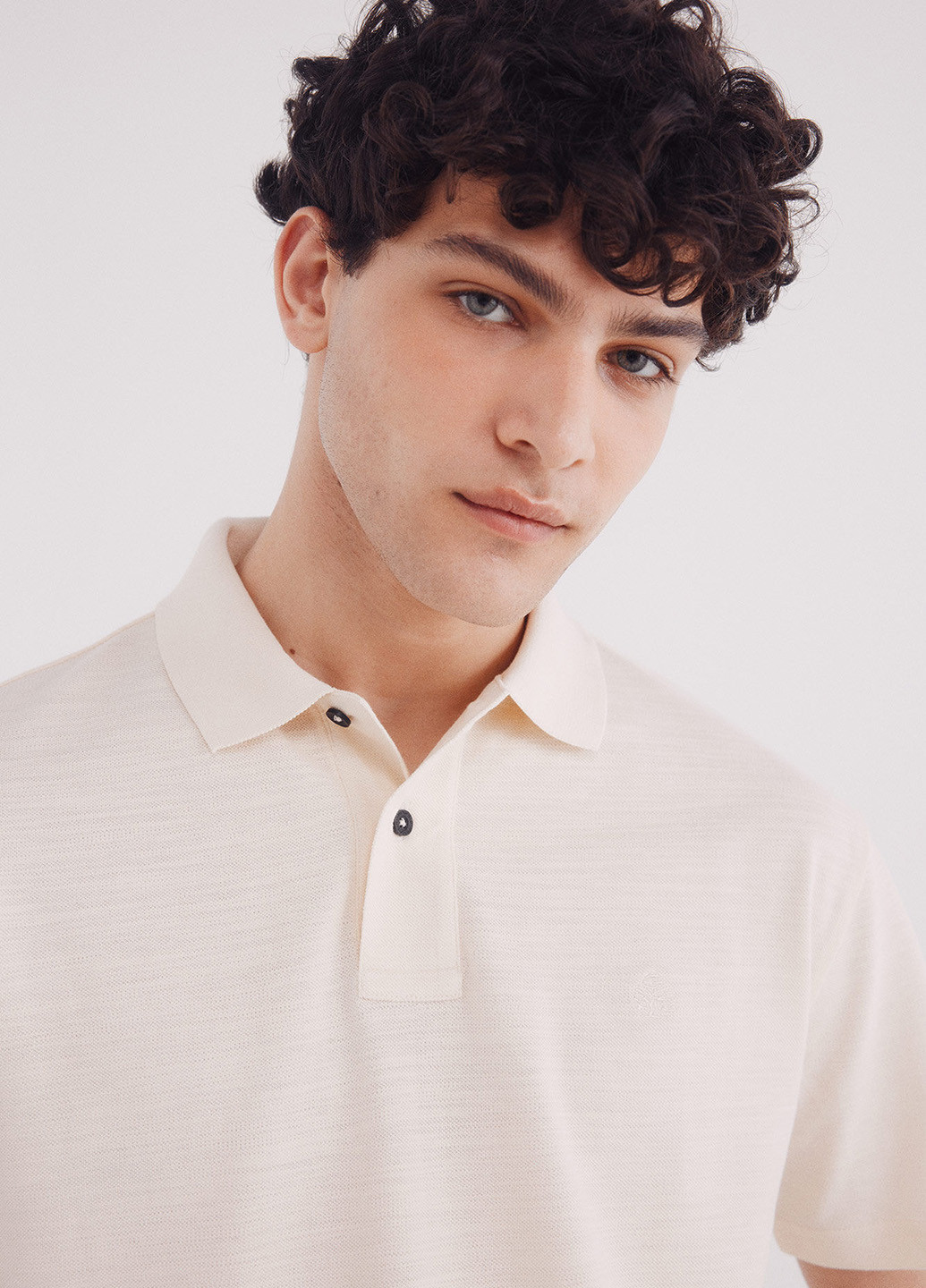 Поло Springfield (342058876)