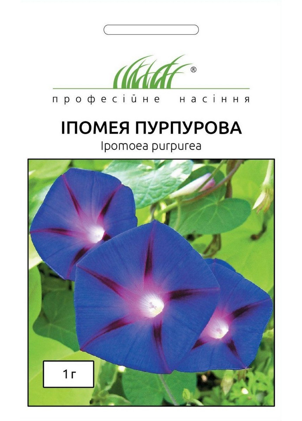 Семена Ипомея пурпурная 1 г Професійне насіння (215963572)