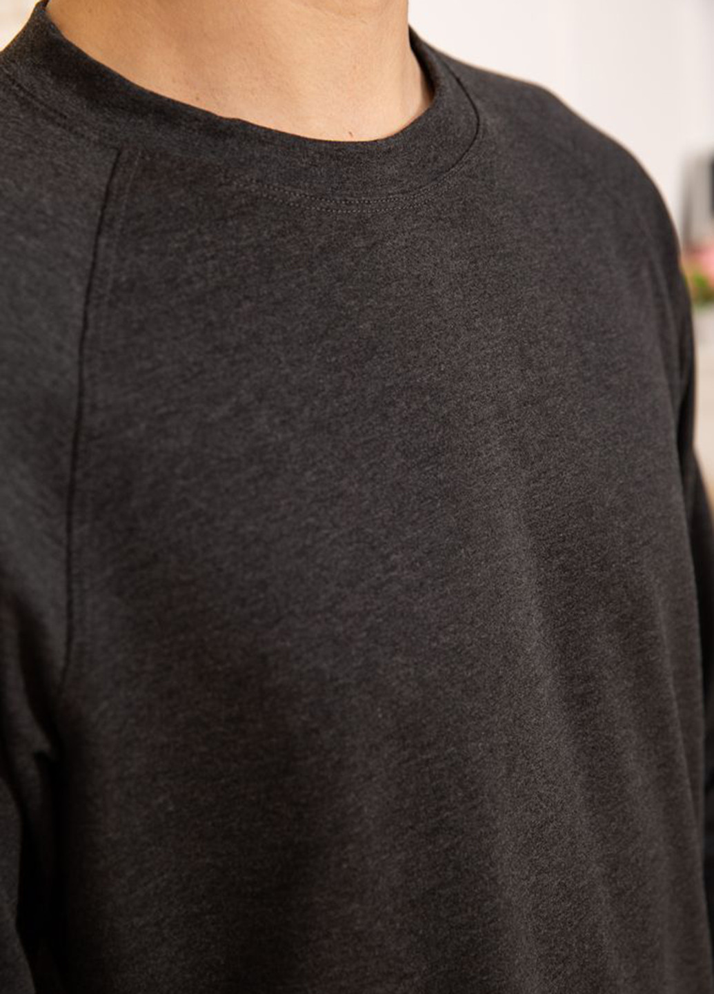 Темно-серый демисезонный костюм (свитшот, брюки) брючный Ager