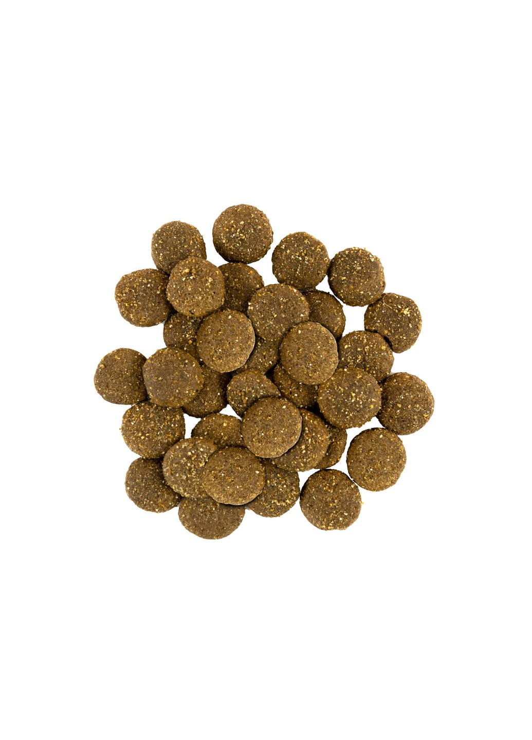 Сухой корм для собак крупных пород со свежим мясом индейки и ягненка, 3 кг Savory (231268534)
