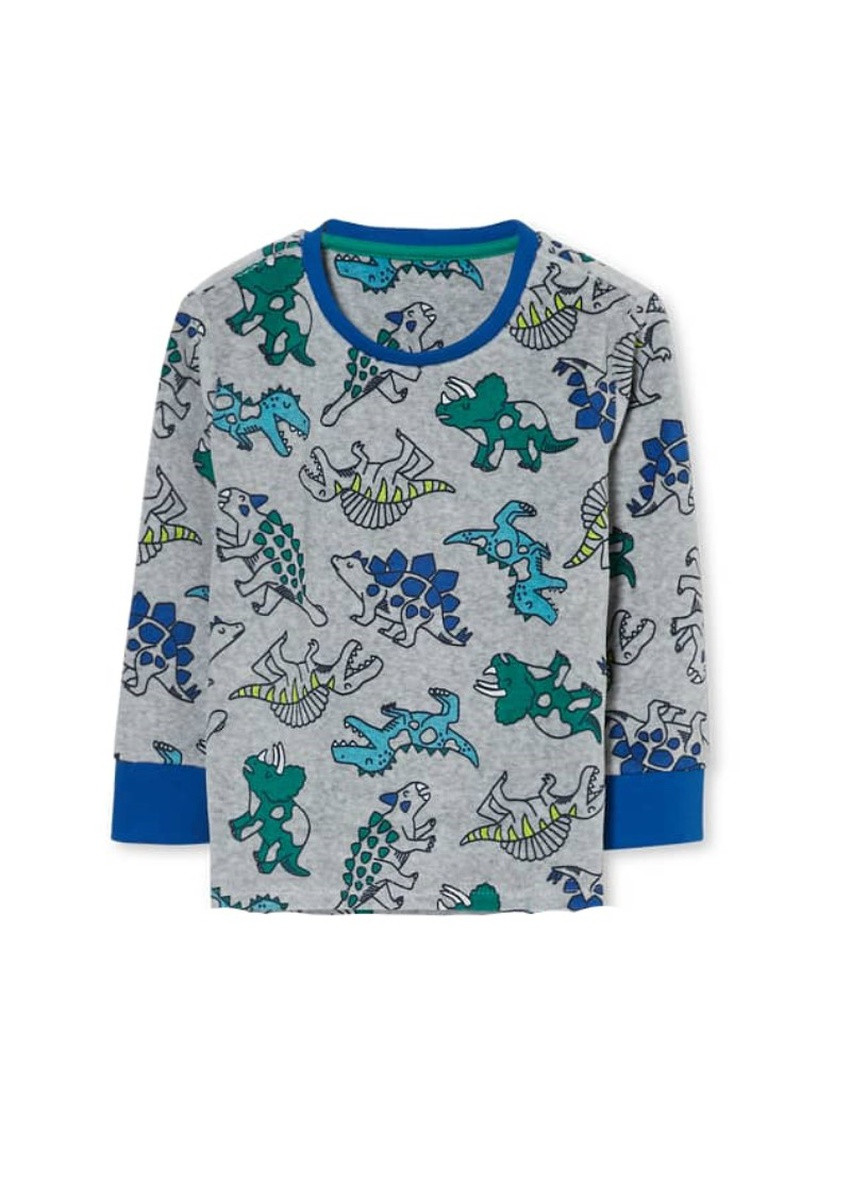 Серый демисезонный домашний лонгслив C&A динозавр