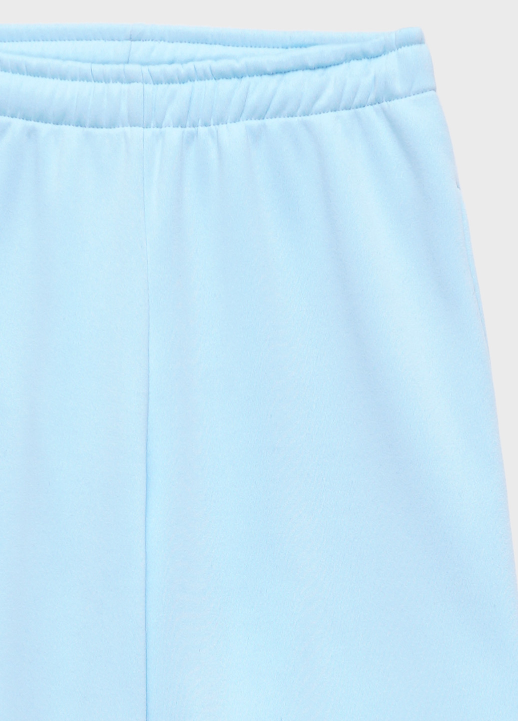 Спортиві брюки-джогери жіночі на флісі KASTA design джогери однотонні блакитні спортивні поліестер, трикотаж, фліс