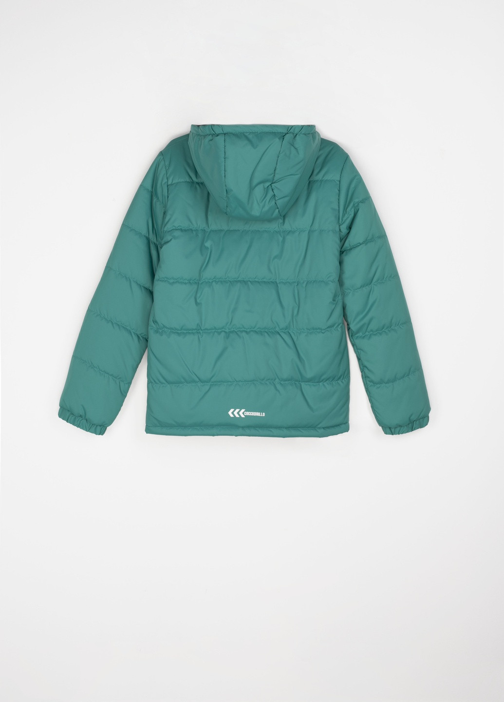 Зеленая демисезонная куртка Coccodrillo UNS