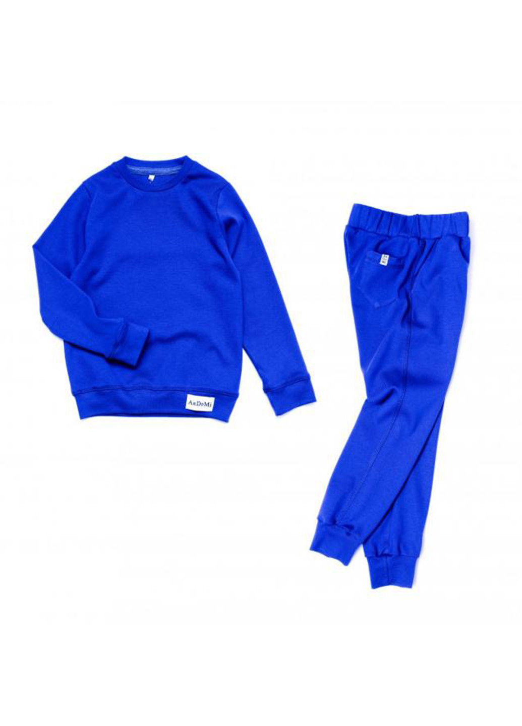 Синій демісезонний костюм (світшот, штани) брючний ArDoMi