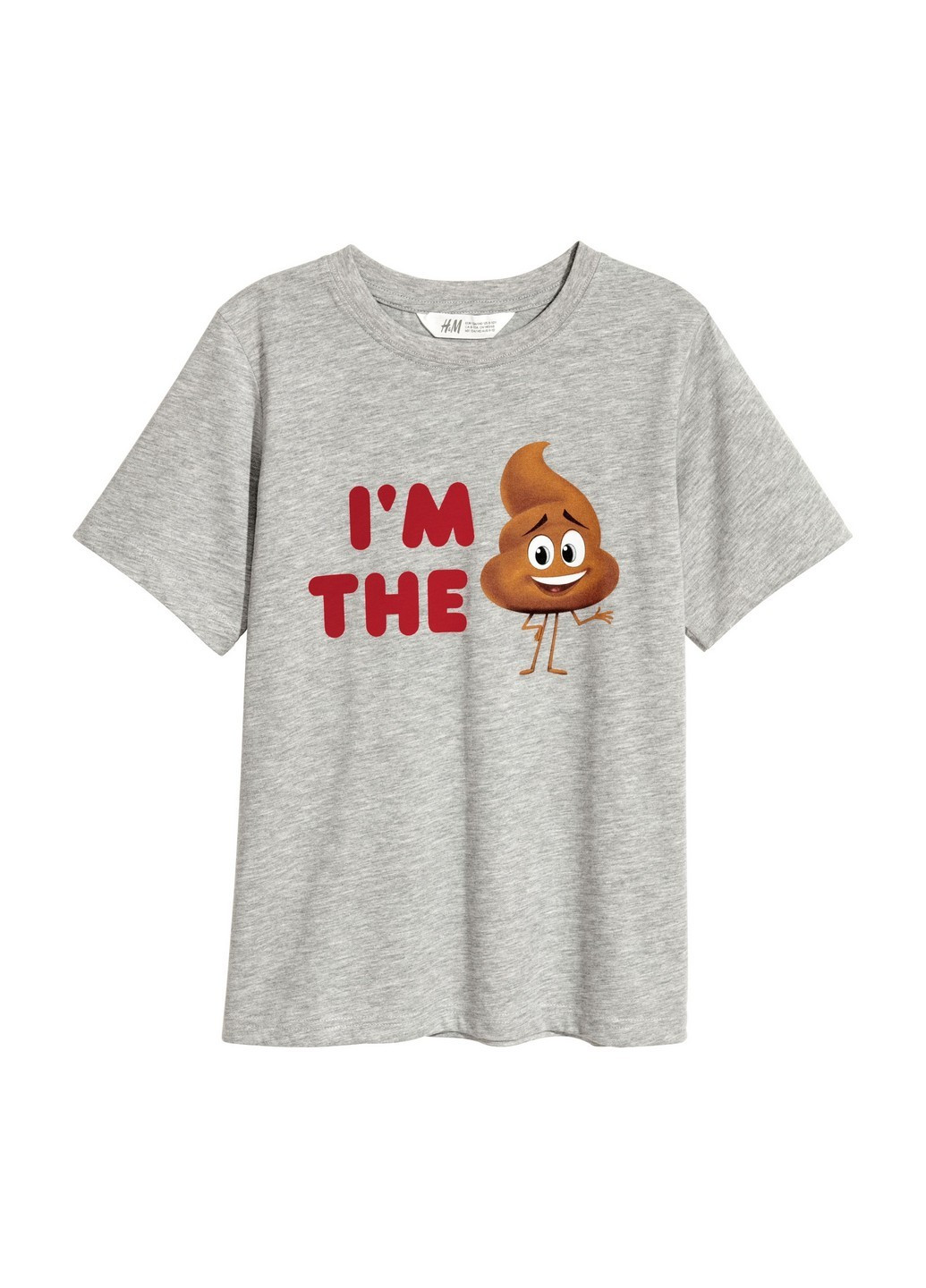 Сіра демісезонна футболка H&M
