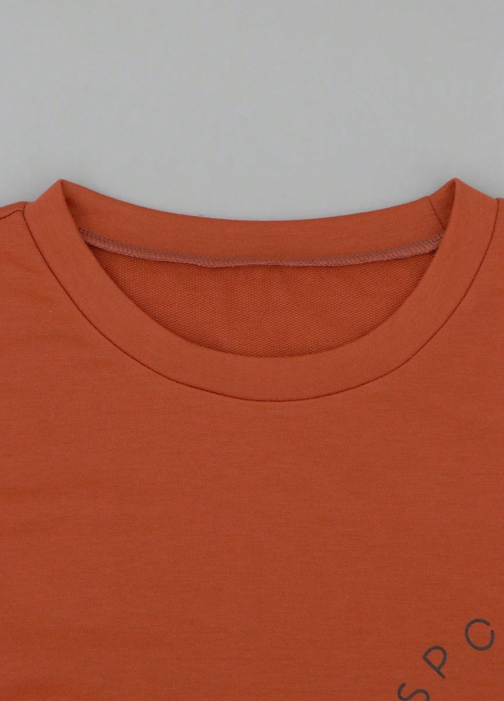 Терракотовый свитшот SHEIN рисунок без декора (323965869)