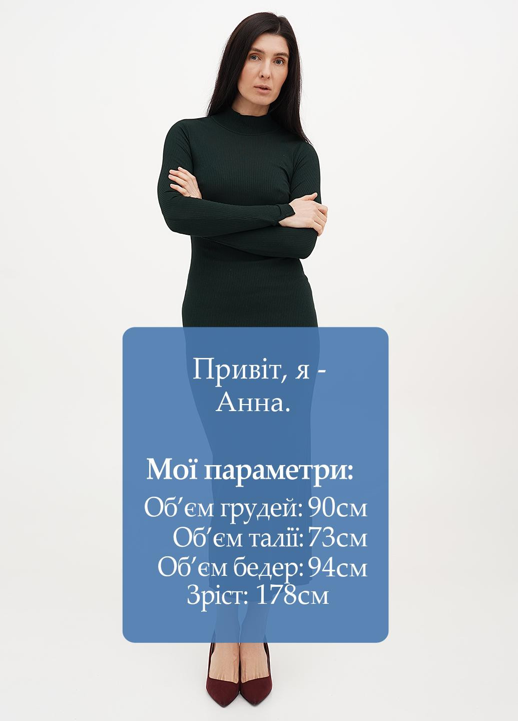 Темно-зелена кежуал сукня сукня-водолазка, силуетна Whistles однотонна