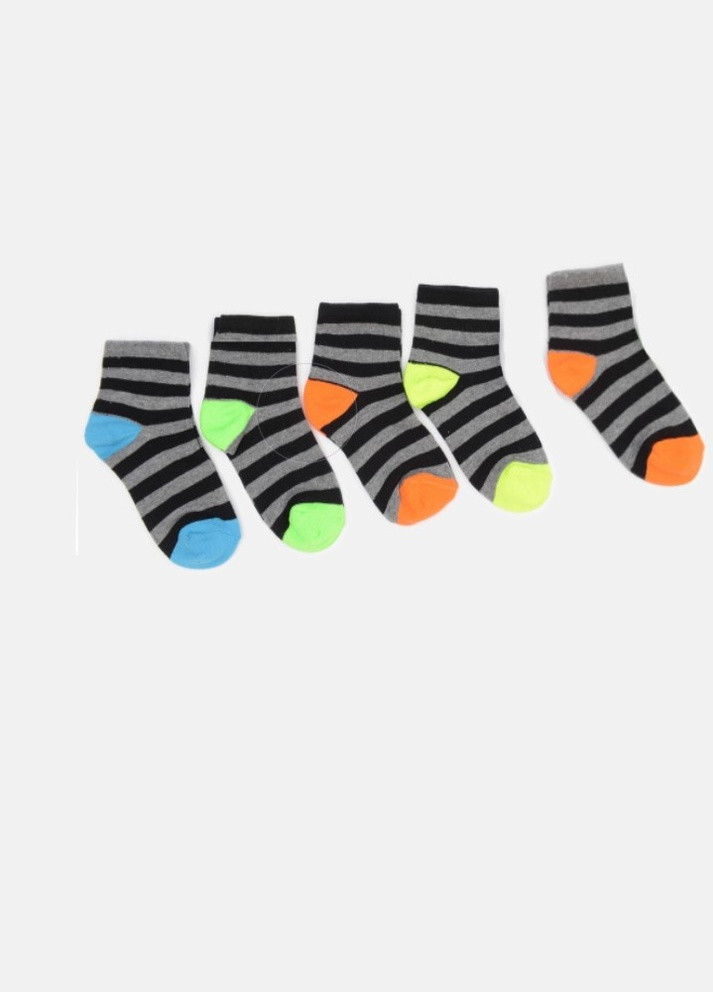 Шкарпетки (5 пар) C&A смужки темно-сірі повсякденні