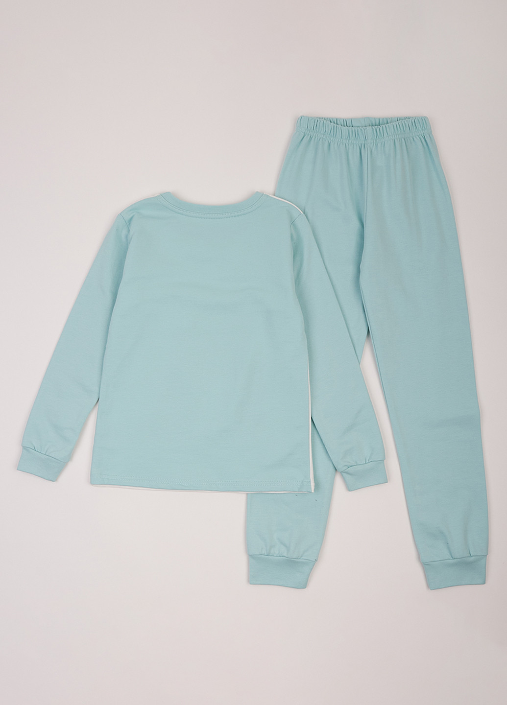 Комбинированная зимняя пижама (свитшот, брюки) Фламинго