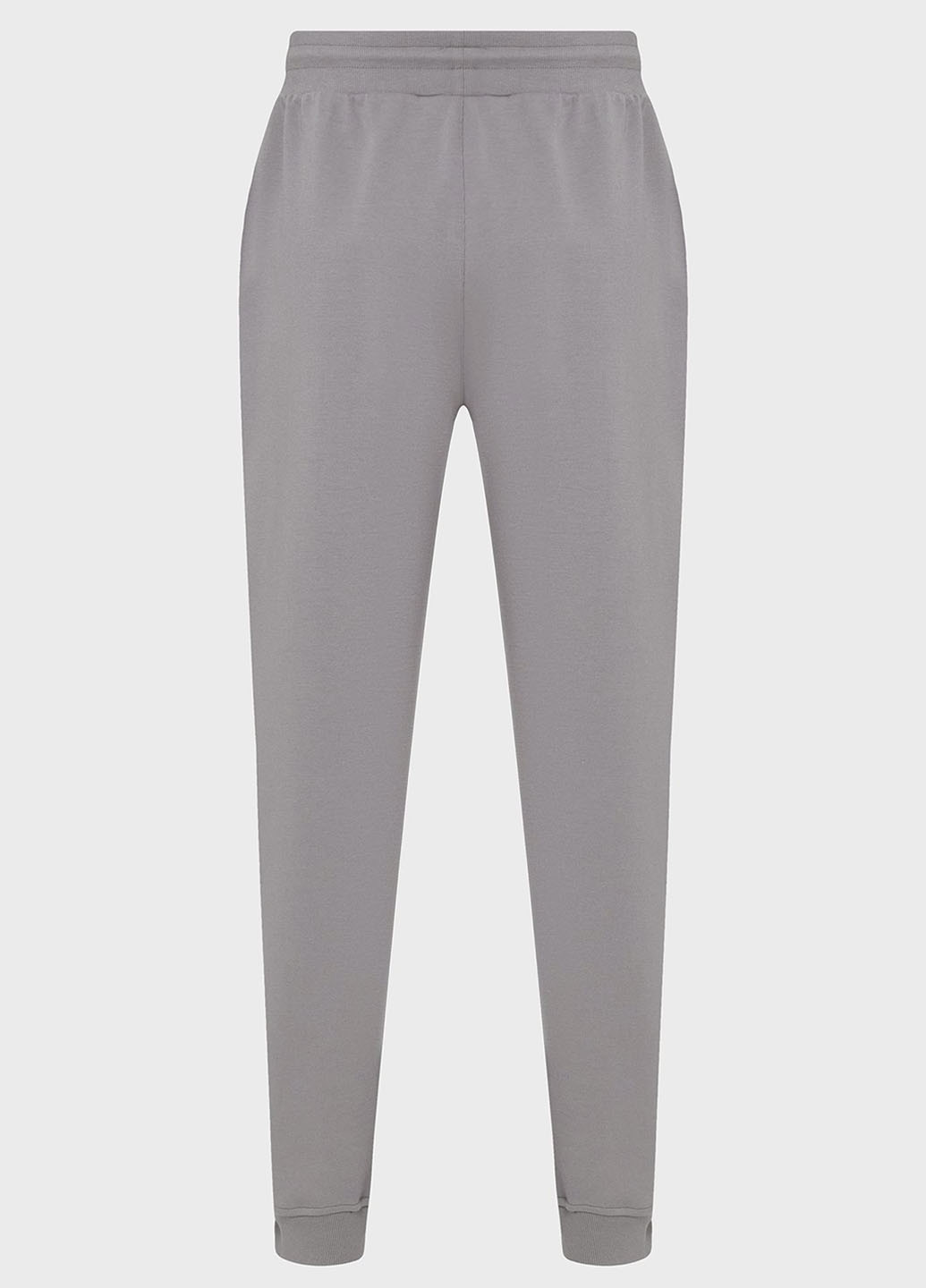 Серые спортивные демисезонные джоггеры брюки PRPY