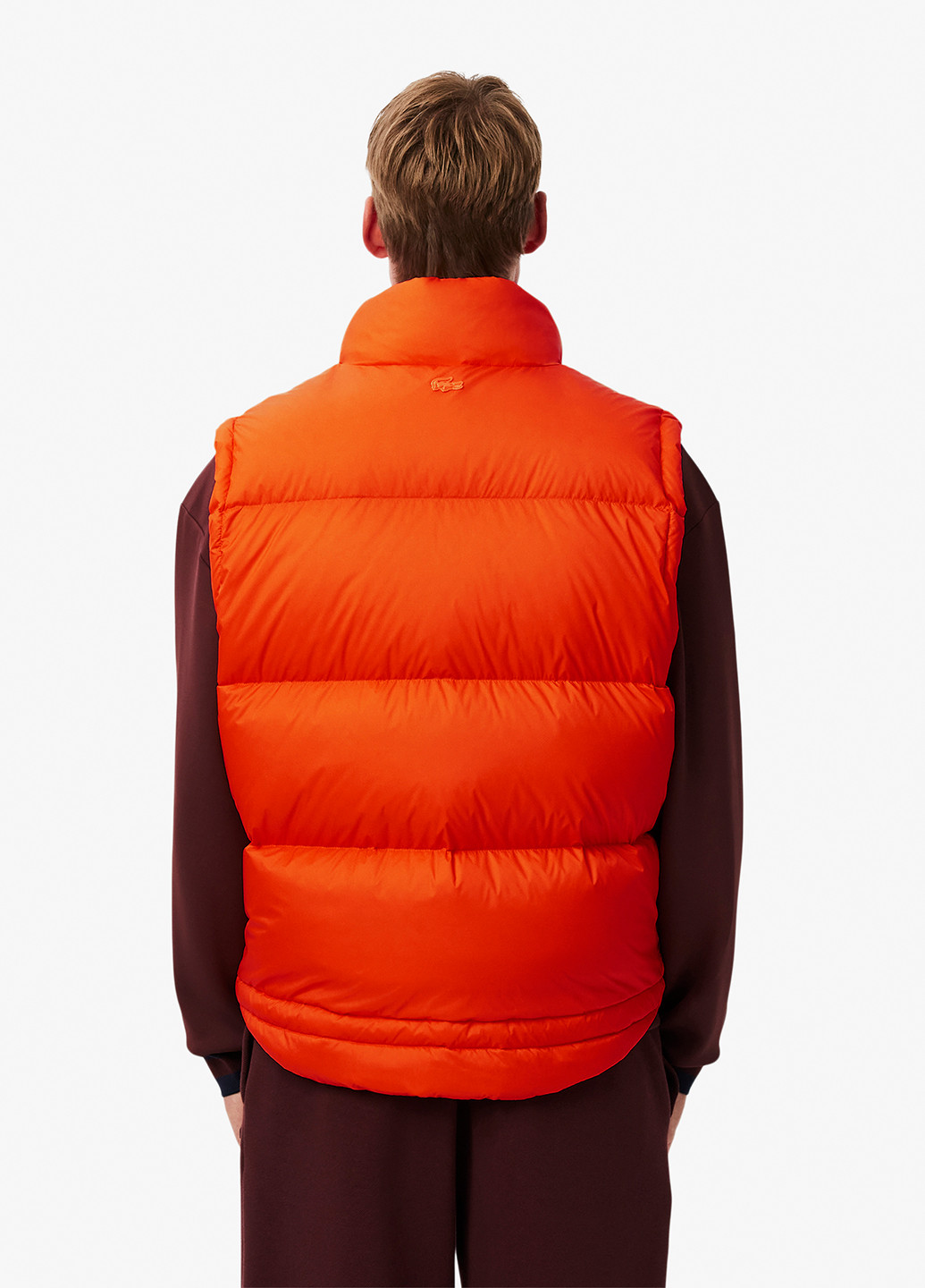 Жилет Lacoste (329694417)