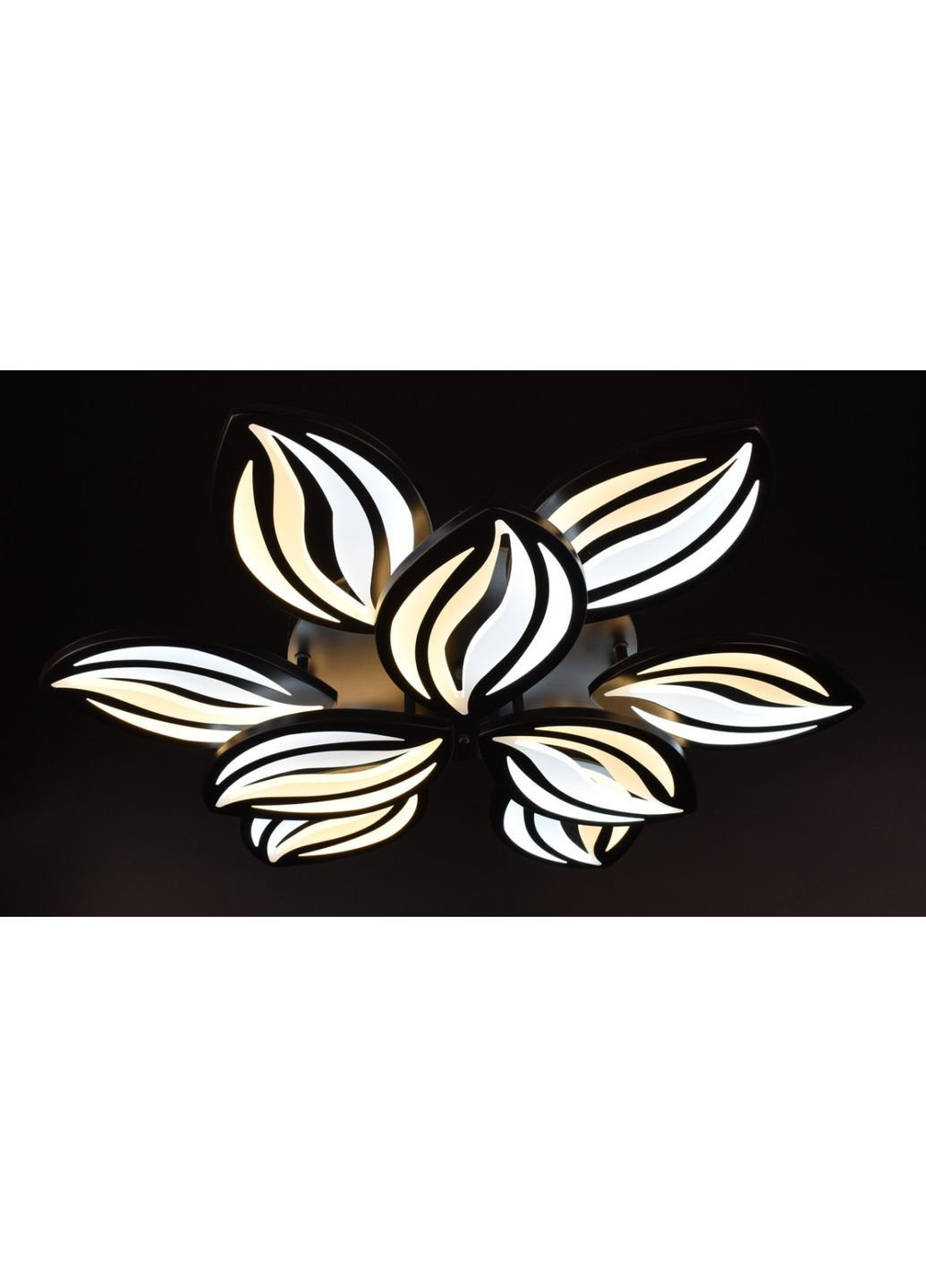 Люстра потолочная LED с пультом A2325/6+3-bk Черный 10х70х70 см. Sunnysky (253630256)