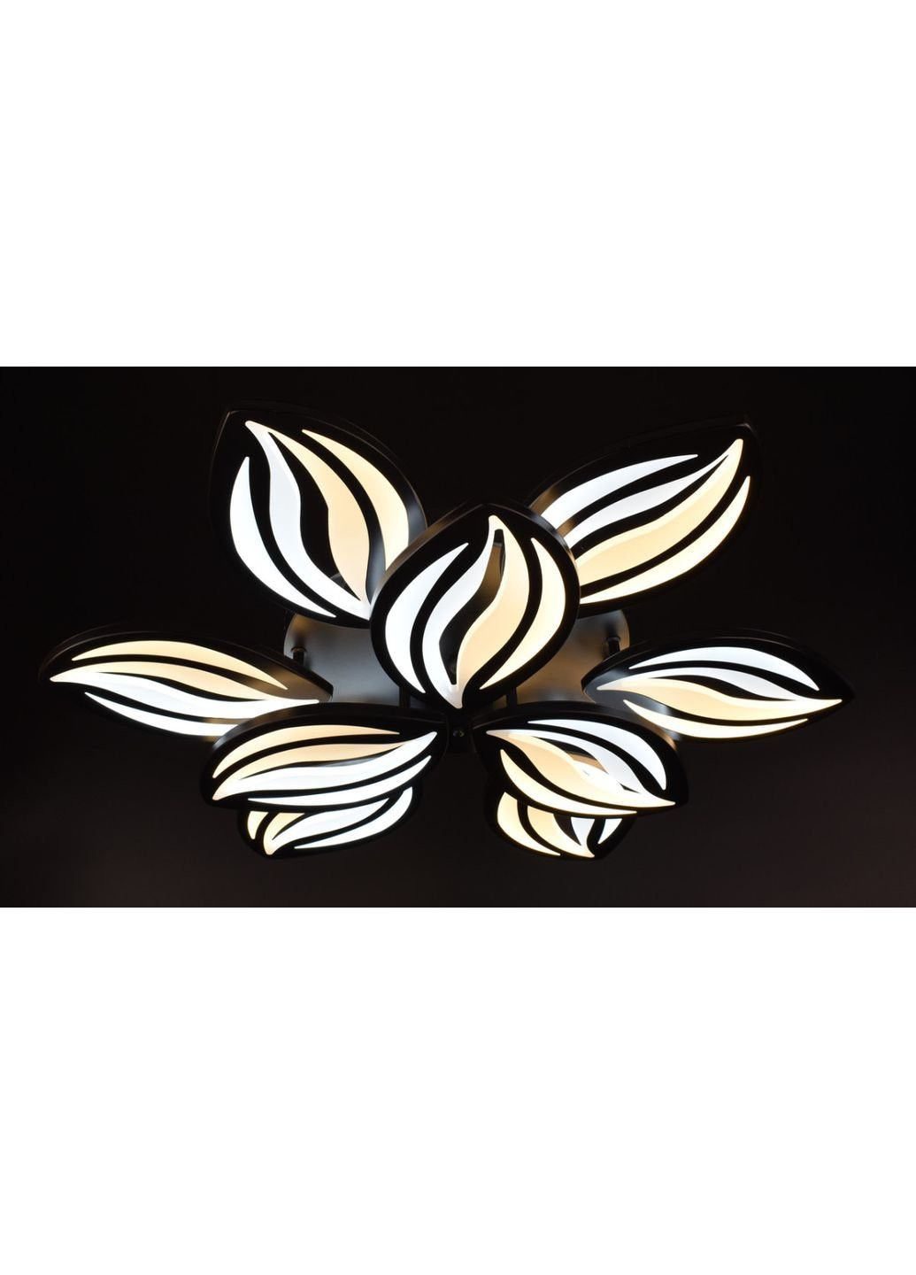 Люстра потолочная LED с пультом A2325/6+3-bk Черный 10х70х70 см. Sunnysky (253630256)