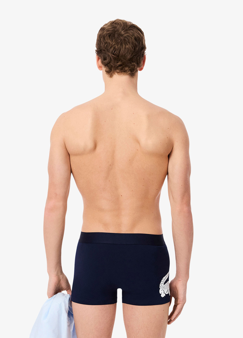 Труси (3шт.) Lacoste (348516914)