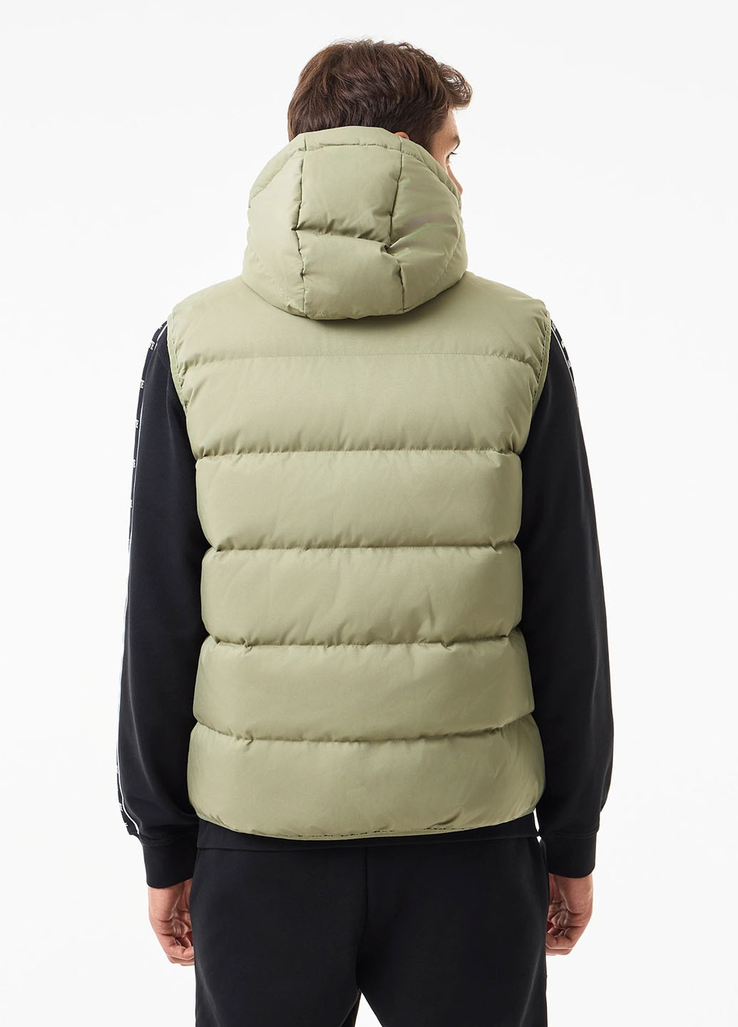 Жилет Lacoste (329694498)