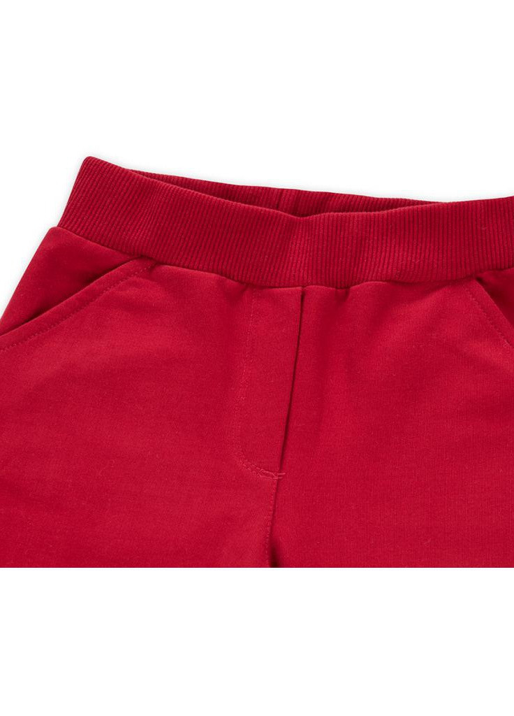 Красный демисезонный костюм десткий с объемной аппликацией (8401-98g-gray) Breeze