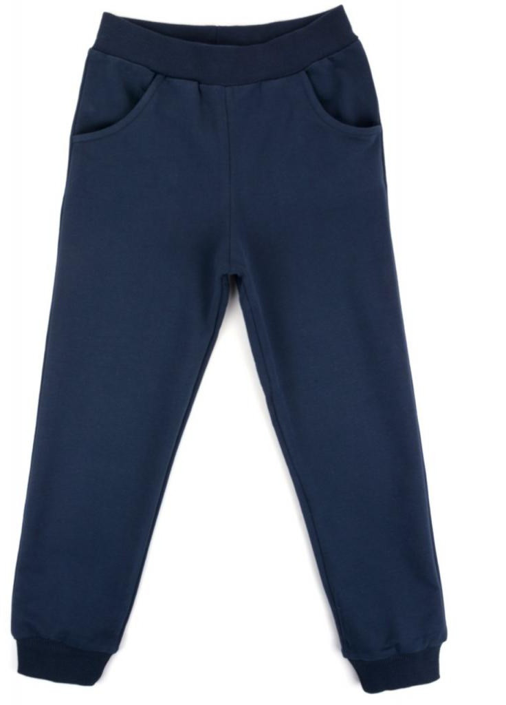 Синий демисезонный костюм десткий "r4g" (9325-110b-blue) Breeze