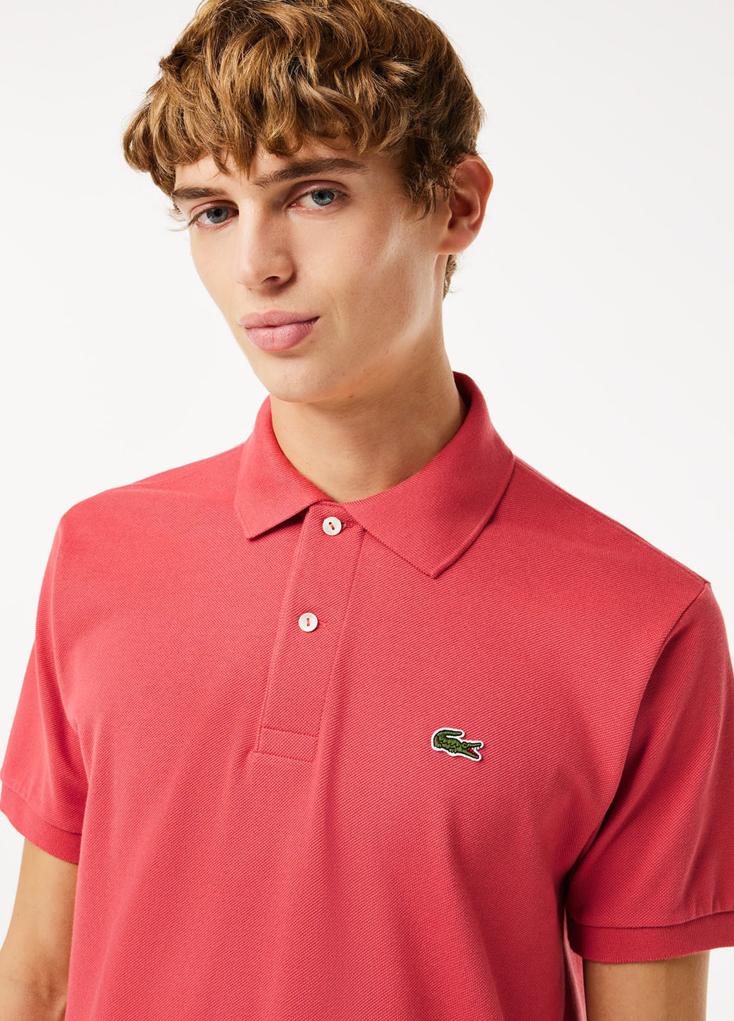 Поло Lacoste (329694458)