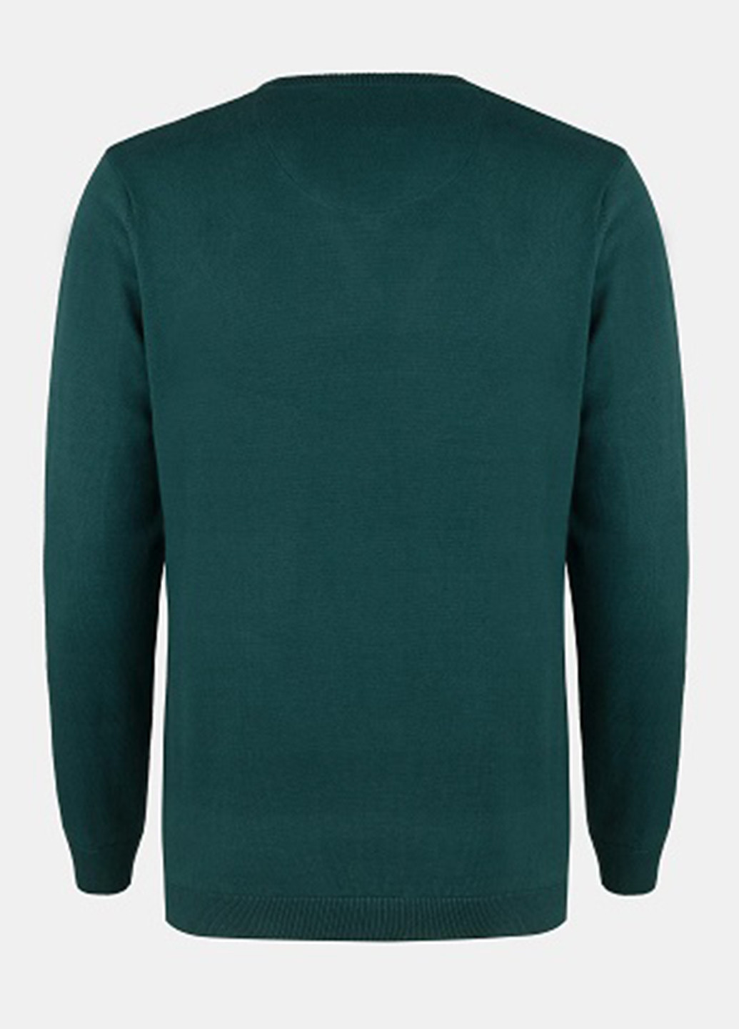 Зеленый демисезонный пуловер пуловер Pako Lorente