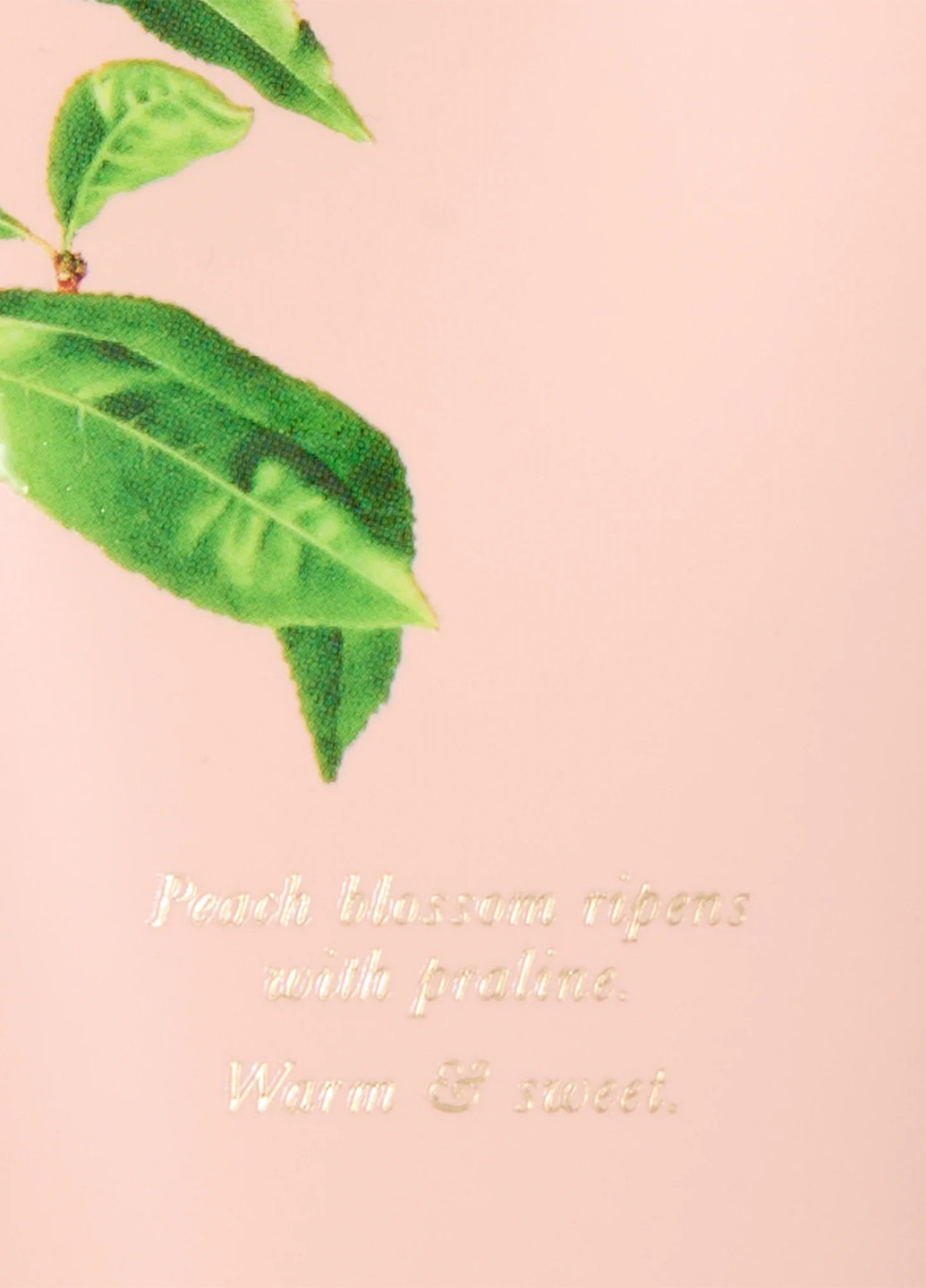 Набір Sunlit Nectar (лосьйон, міст) Victoria's Secret (325923166)