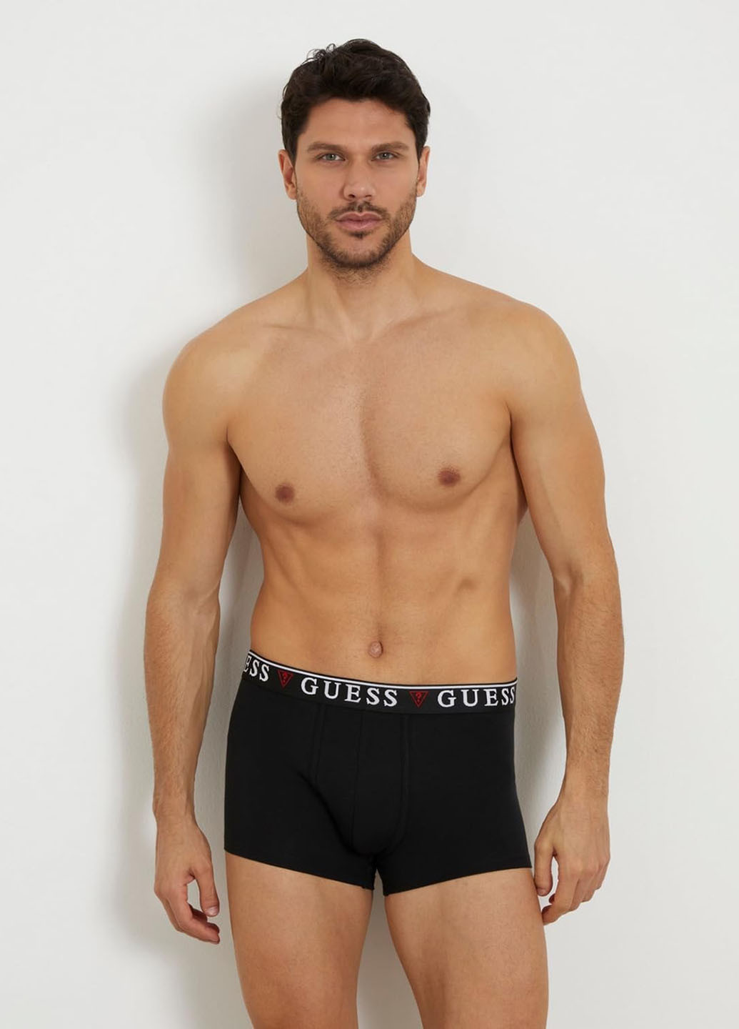 Труси (3 шт.) Guess (366808753)