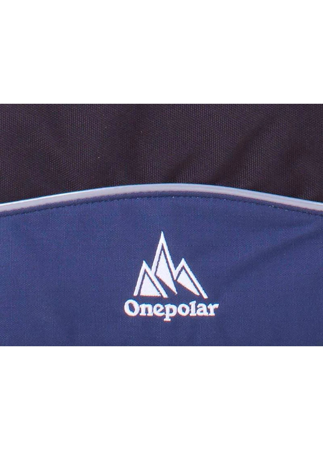 Чоловіча спортивна сумка 37х28х11 см Onepolar (252133647)