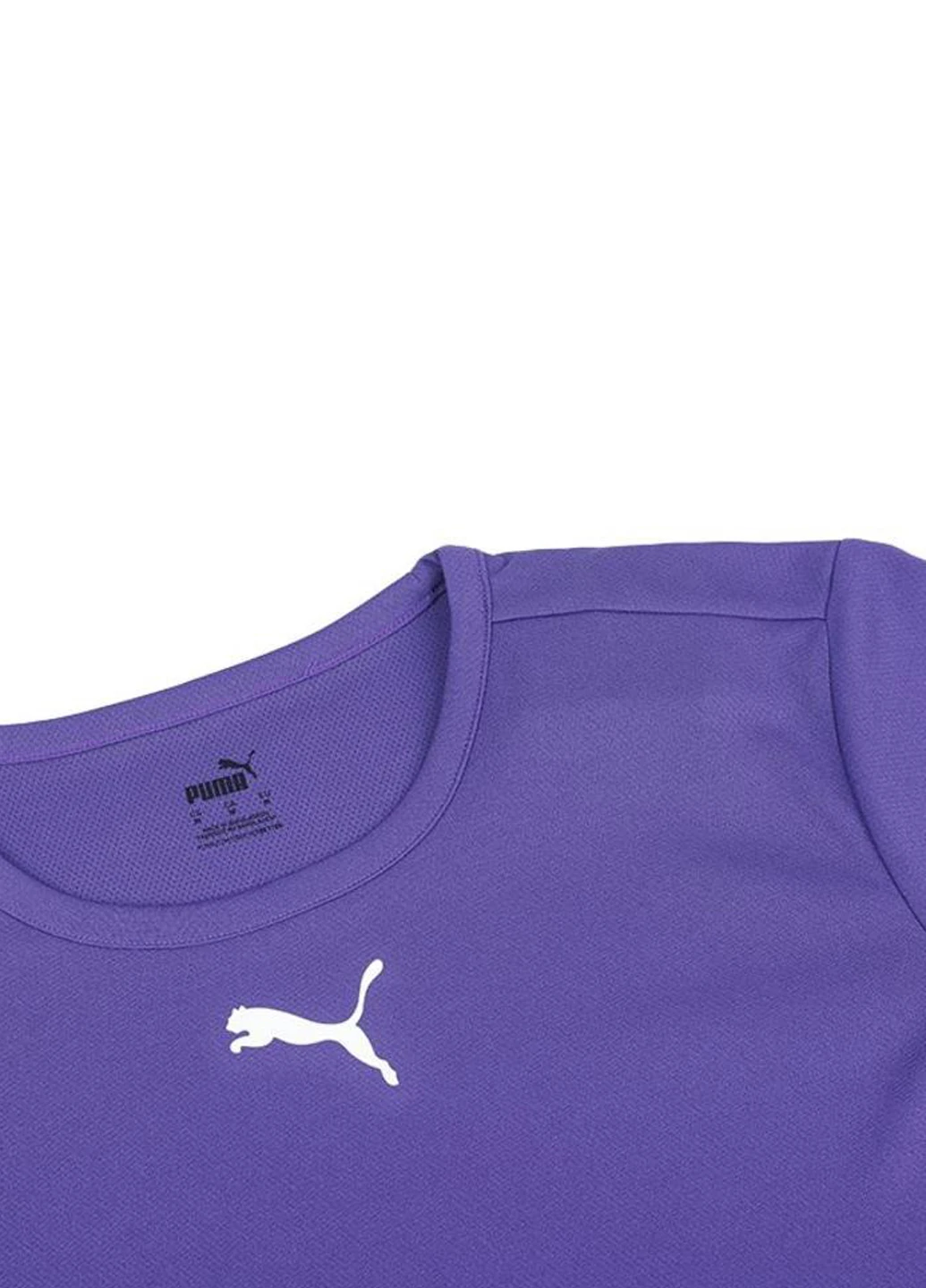 Фиолетовая демисезонная футболка 704938-10 Puma teamRISE Jersey Jr