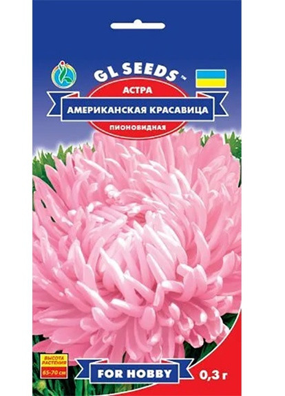 Семена Астра Американская красавица 0,3 г GL Seeds (252372239)