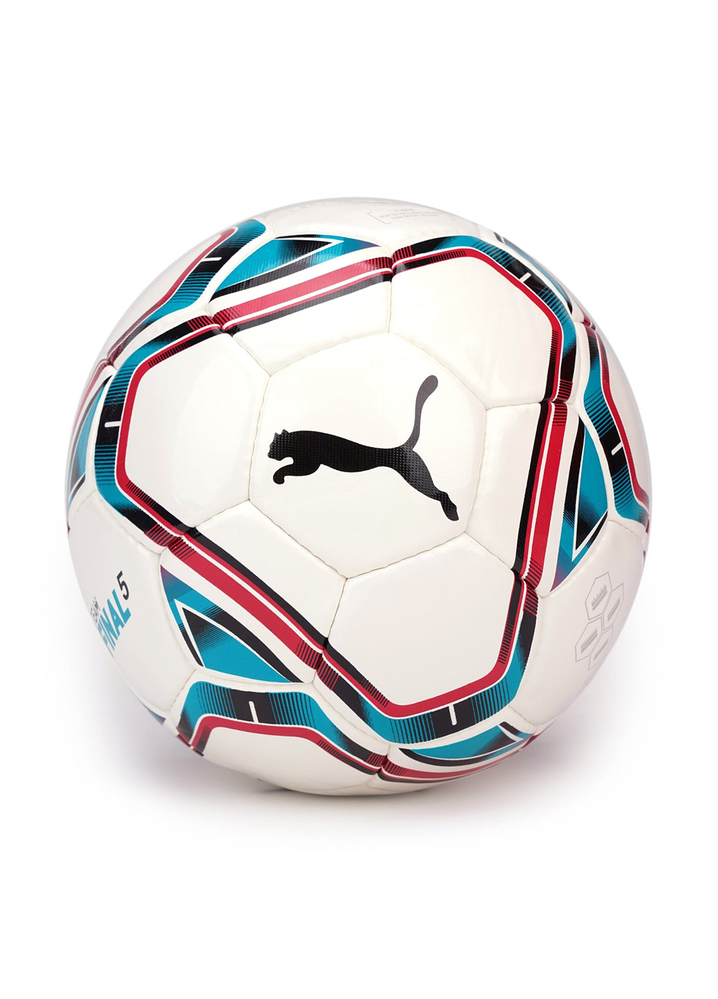 М'яч №5 Puma (206176339)