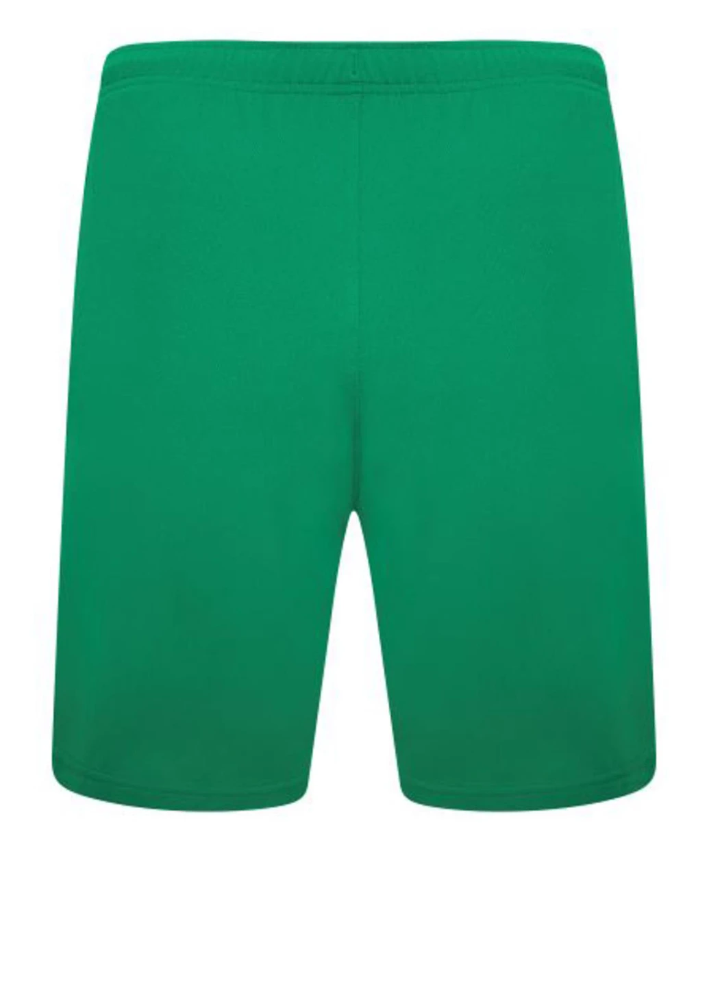 Шорты 704942-05 Puma teamRISE Short (327409103)
