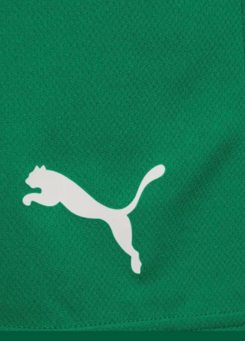 Шорты 704942-05 Puma teamRISE Short (327409103)