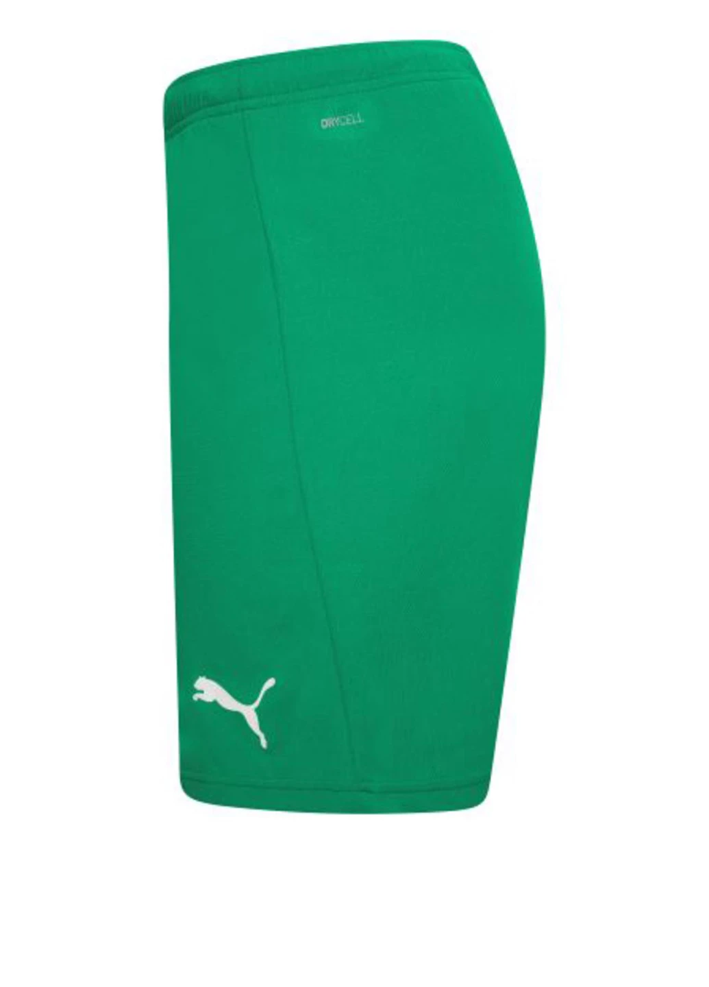 Шорты 704942-05 Puma teamRISE Short (327409103)