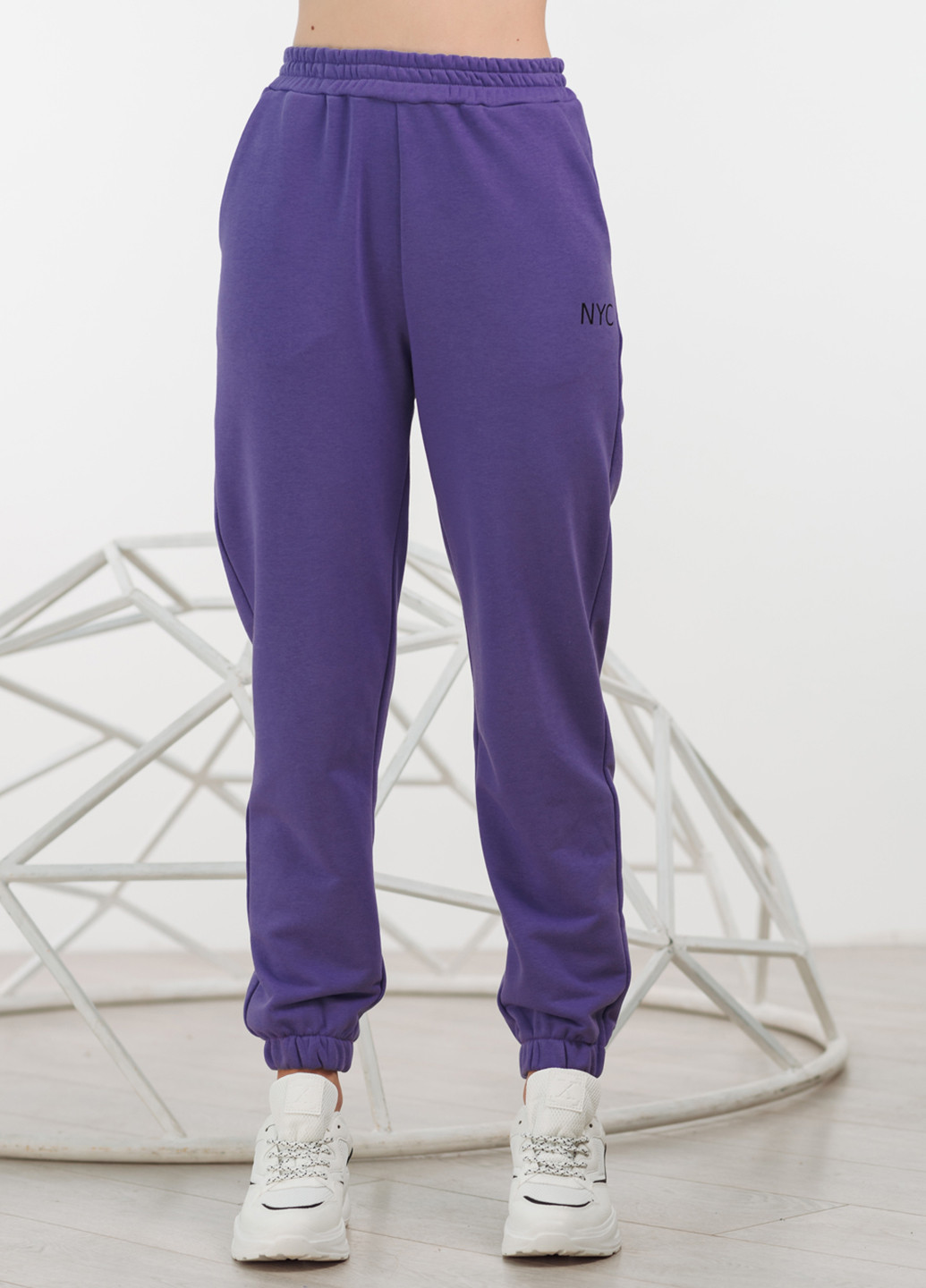 Фиолетовые спортивные демисезонные джоггеры брюки Azuri