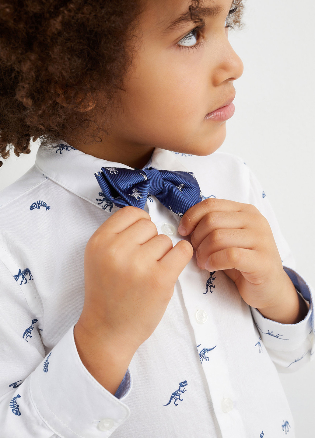 Бабочка C&A (362192814)