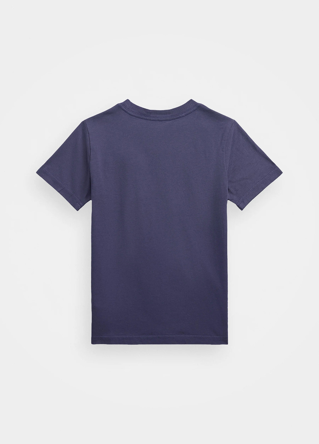 Синяя летняя футболка Ralph Lauren