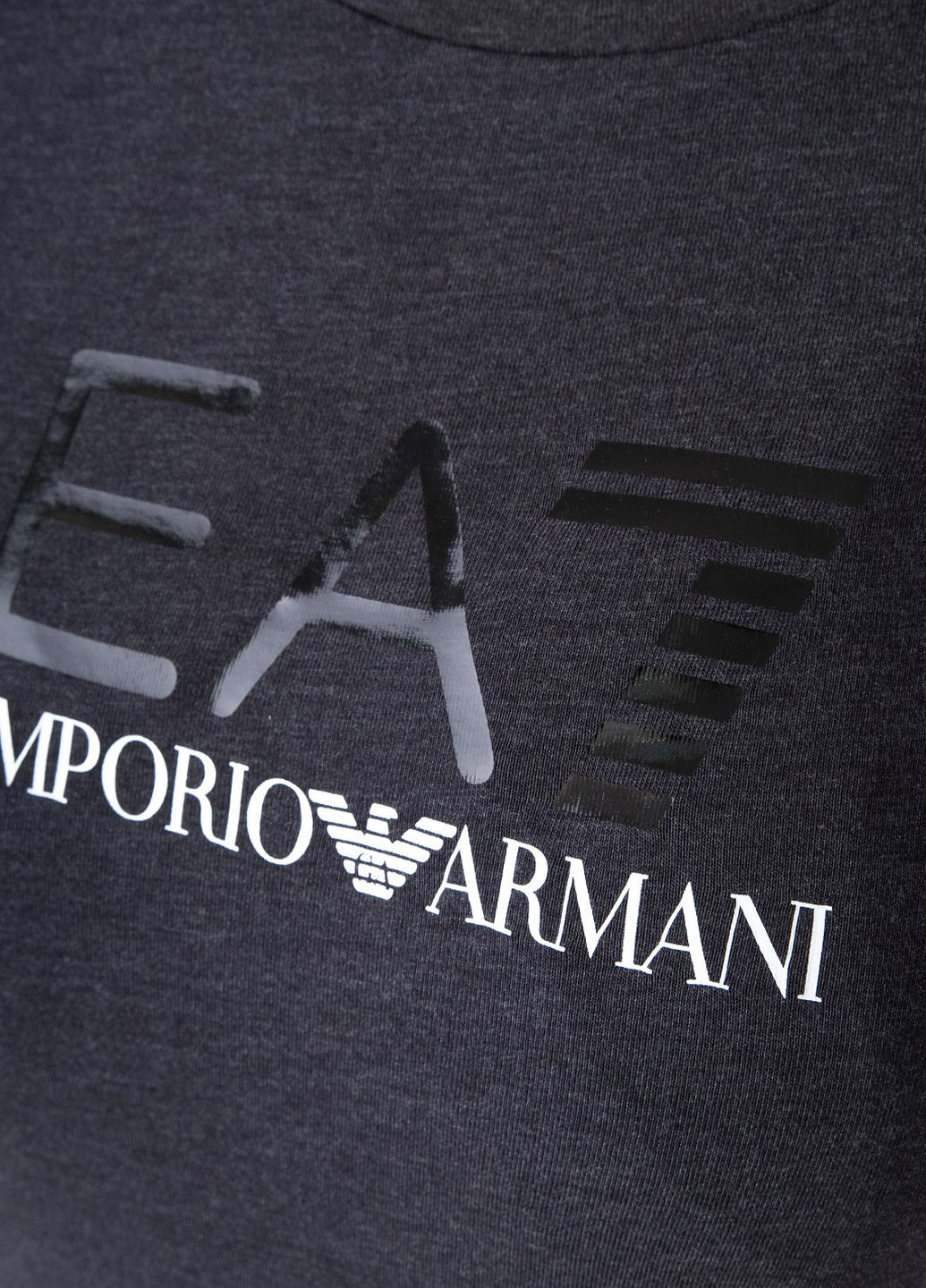 Серая демисезон футболка ARMANI EA7