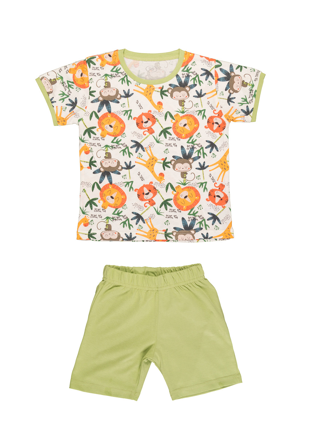 Салатовая всесезон пижама летняя для мальчика кофта + брюки Фламинго Текстиль