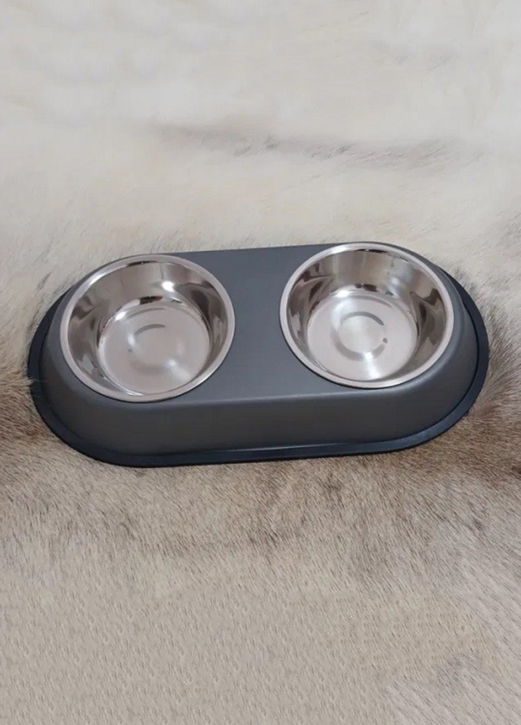 Миска (2 шт.) Sinsay (354583449)