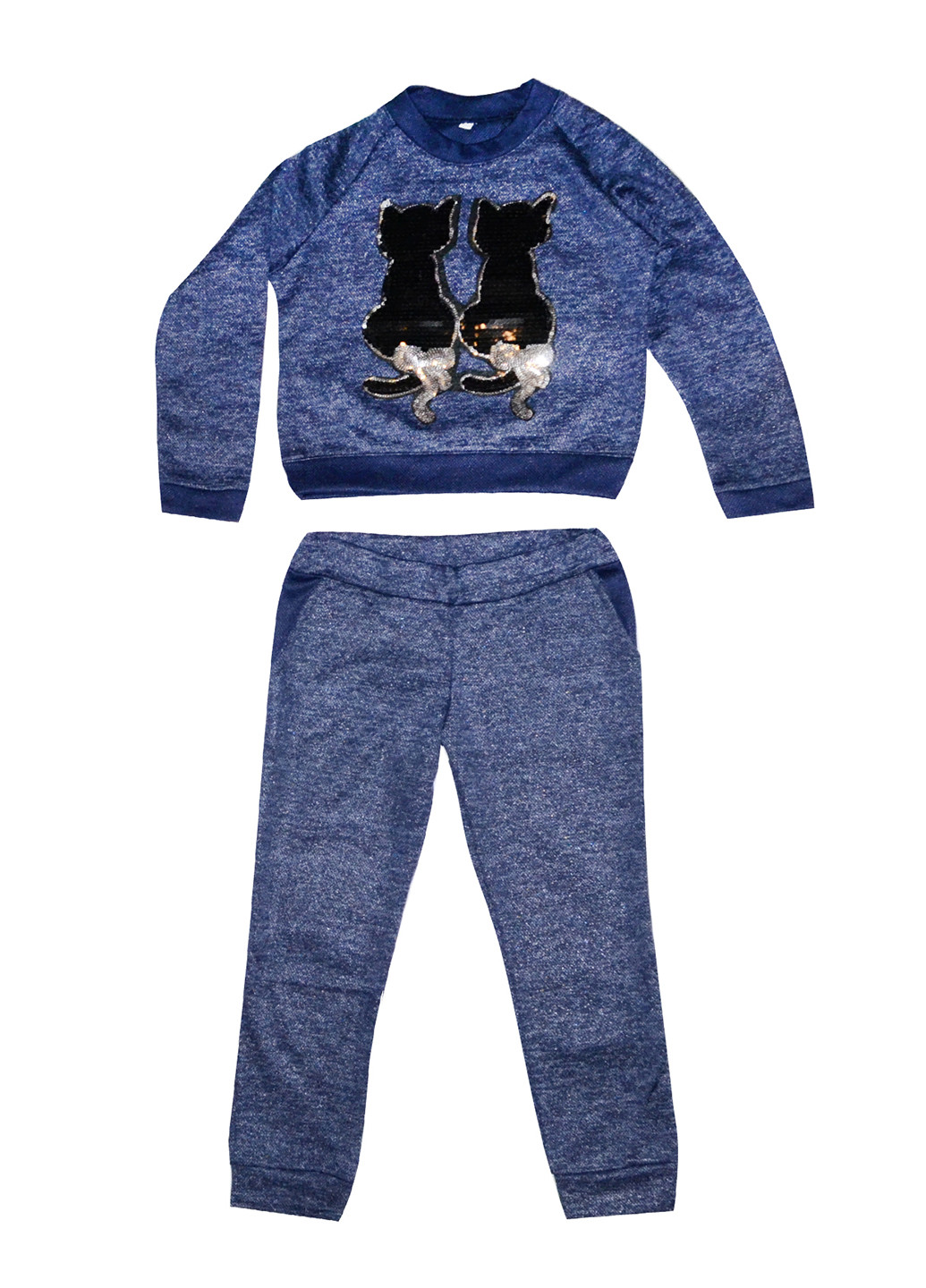 Синий демисезонный костюм (реглан, брюки) с длинным рукавом Bambino