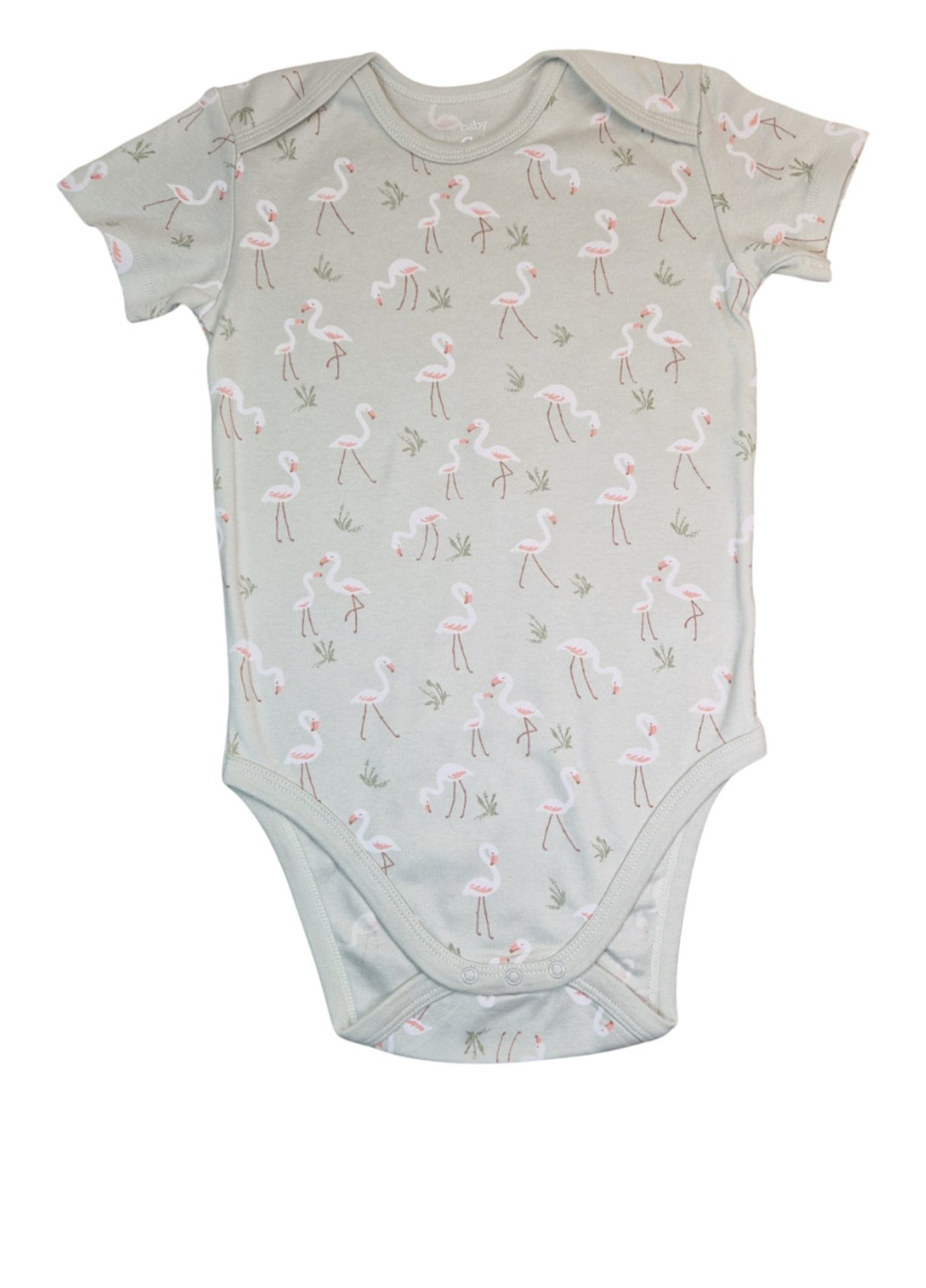 Боді C&A (341894404)