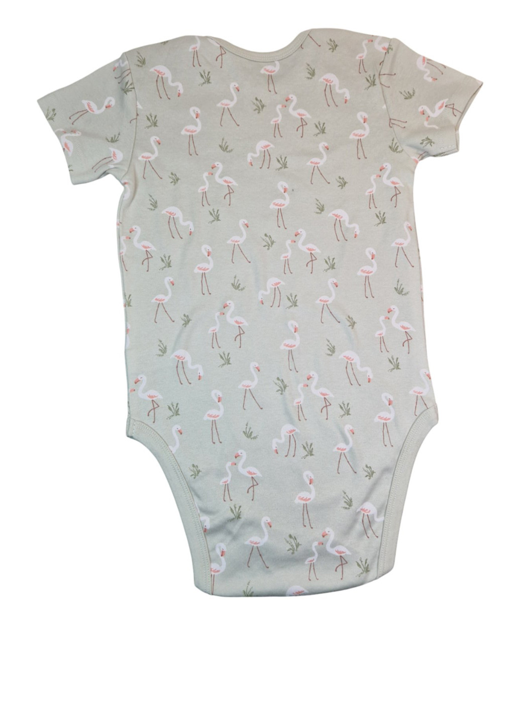 Боді C&A (341894404)