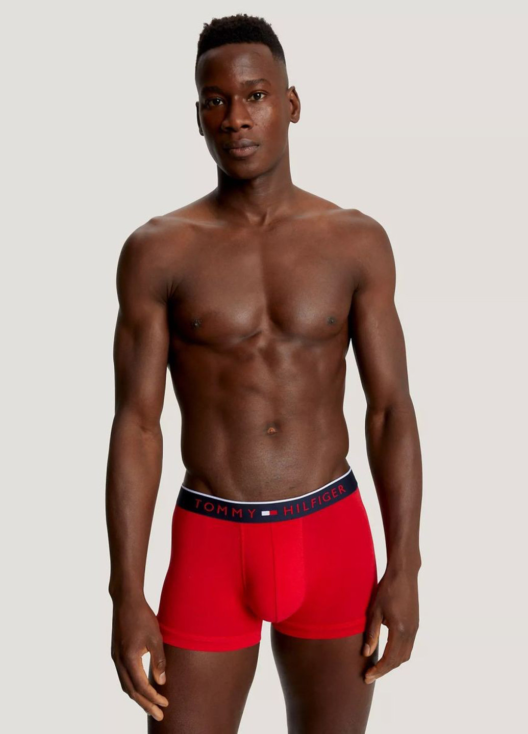 Трусы (3 шт.) Tommy Hilfiger (351368208)