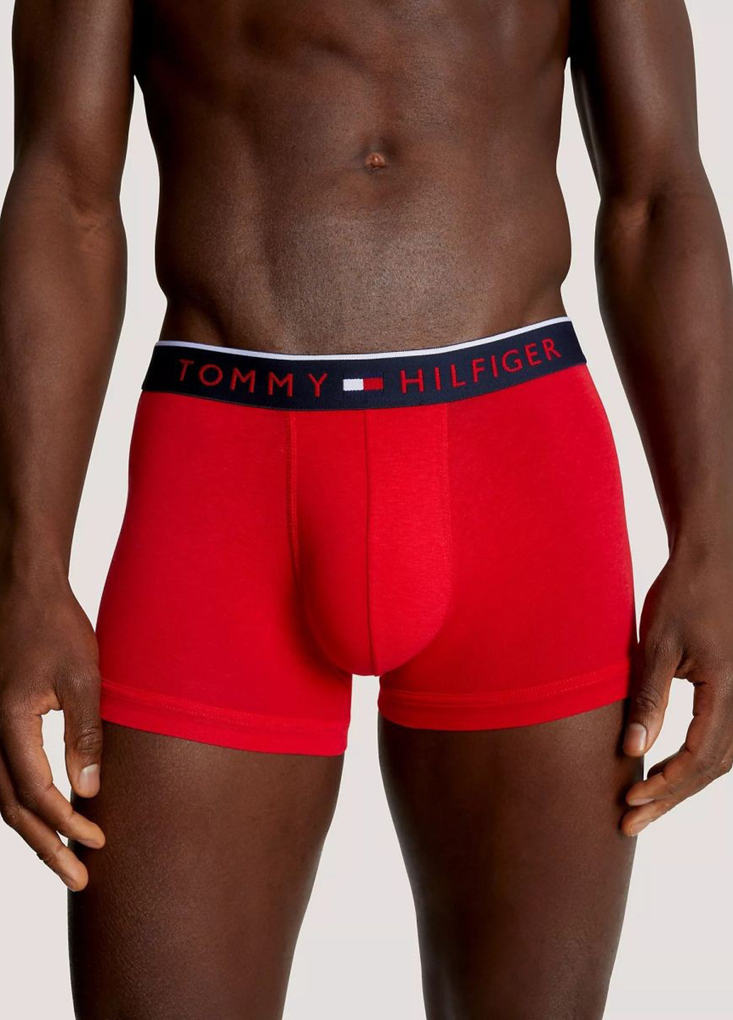 Трусы (3 шт.) Tommy Hilfiger (351368208)