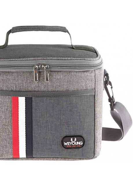 Термосумка/сумка холодильник для їжі з собою Young 7 л Серая More (253840461)