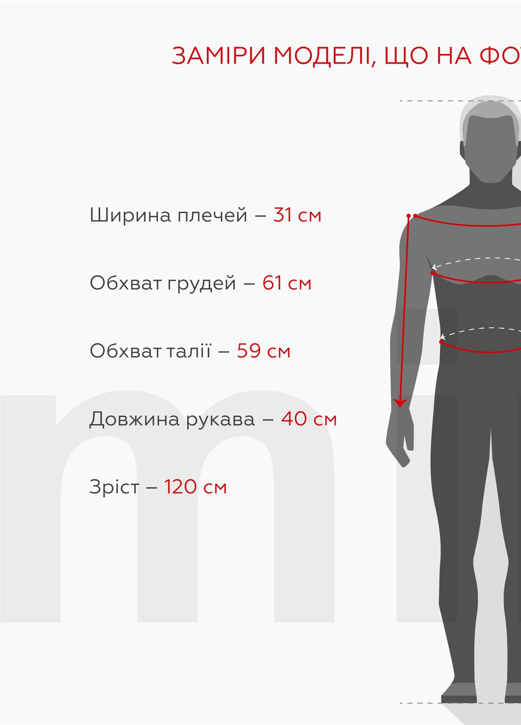 Сіра демісезонна вітровка Snowgenius