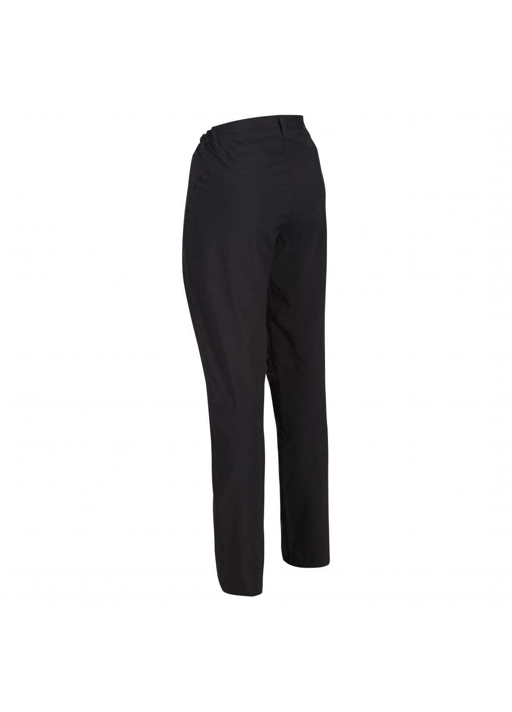 Брюки Regatta Wm Dayhike Trs IV (325685615)